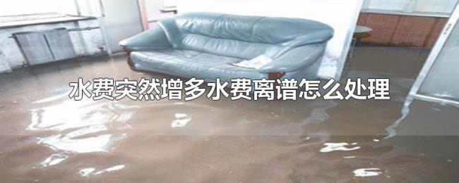 水费突然增多水费离谱怎么处理
