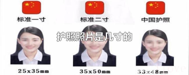 护照照片是几寸的