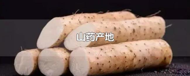 山药产地 山药产地