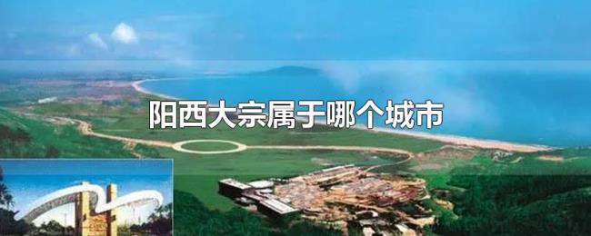阳西大宗属于哪个城市 阳西大宗属于哪个城市