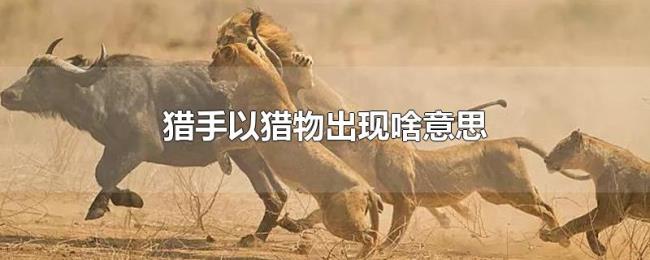 猎手以猎物出现啥意思