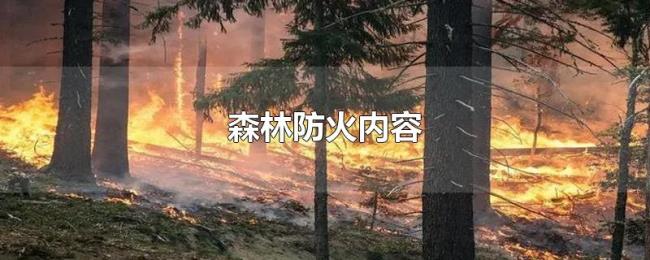 森林防火内容