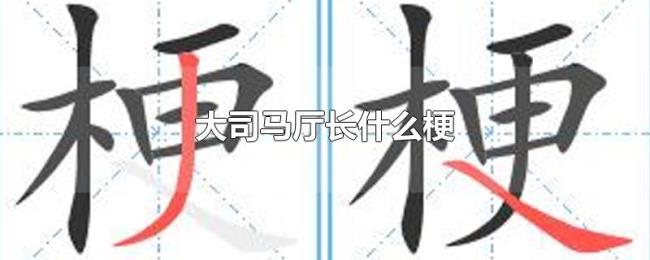 大司马厅长什么梗 大司马厅长什么梗