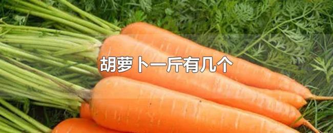 胡萝卜一斤有几个
