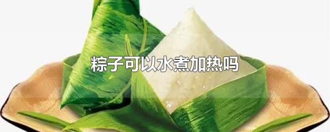 粽子可以水煮加热吗