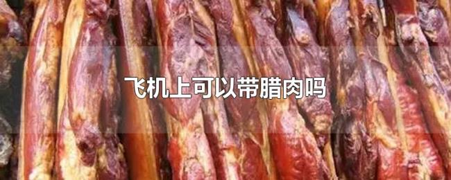 飞机上可以带腊肉吗