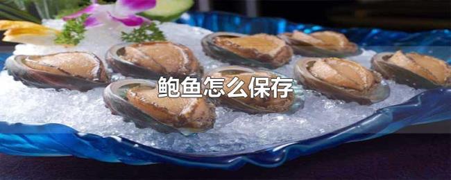 鲍鱼怎么保存 鲍鱼怎么保存