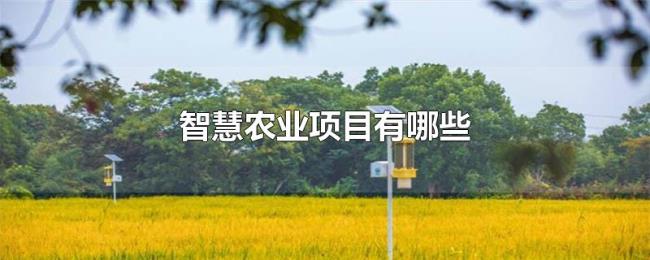 智慧农业项目有哪些
