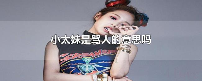 小太妹是骂人的意思吗 小太妹是骂人的意思吗