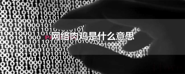 网络肉鸡是什么意思