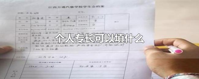 个人专长可以填什么 个人专长可以填什么