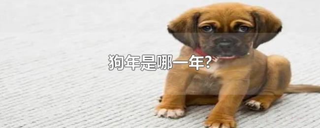 狗年是哪一年? 狗年是哪一年?