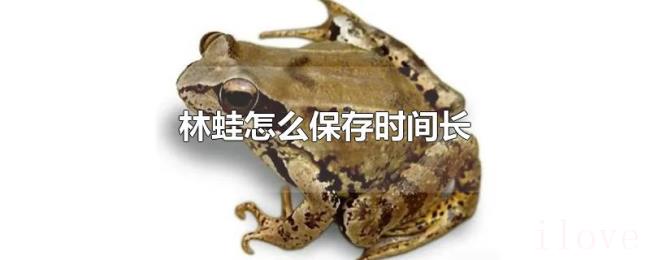 林蛙怎么保存时间长