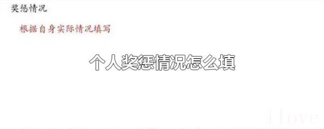 个人奖惩情况怎么填 个人奖惩情况怎么填