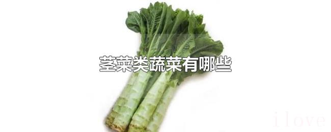 茎菜类蔬菜有哪些 茎菜类蔬菜有哪些