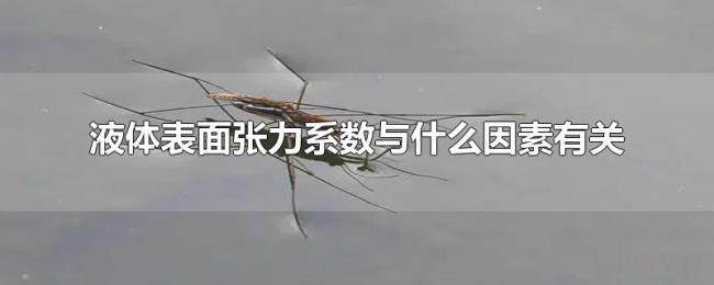 液体表面张力系数与什么因素有关 液体表面张力系数与什么因素有关