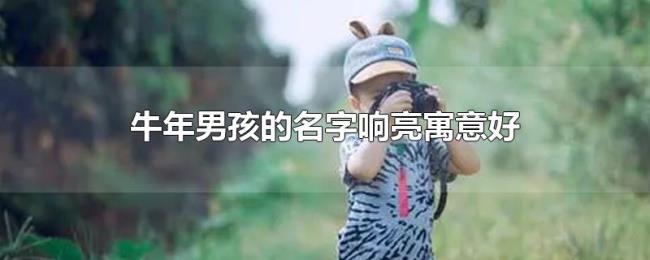 牛年男孩的名字响亮寓意好