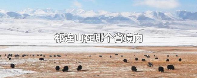 祁连山在哪个省境内 祁连山在哪个省境内