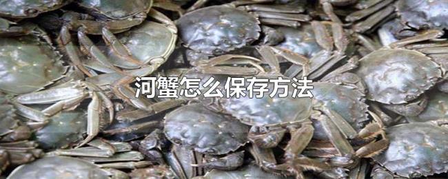 河蟹怎么保存方法 河蟹怎么保存方法