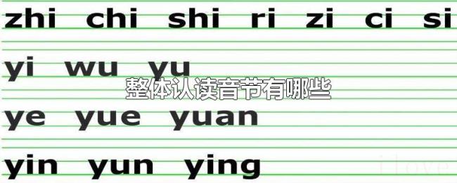 整体认读音节有哪些 整体认读音节有哪些