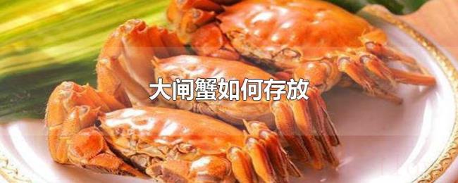 大闸蟹如何存放