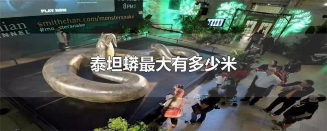 泰坦蟒最大有多少米 泰坦蟒最大有多少米