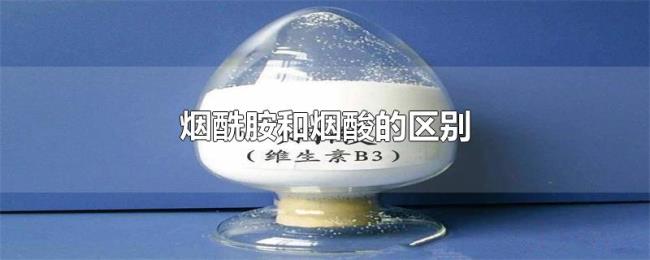 烟酰胺和烟酸的区别 烟酰胺和烟酸的区别