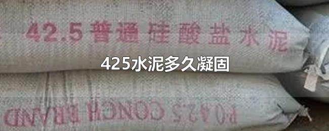 425水泥多久凝固 425水泥多久凝固