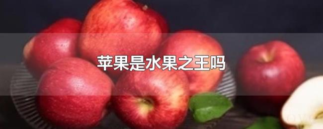 苹果是水果之王吗