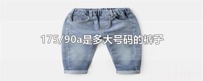 175/90a是多大号码的裤子