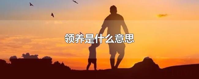 领养是什么意思 领养是什么意思