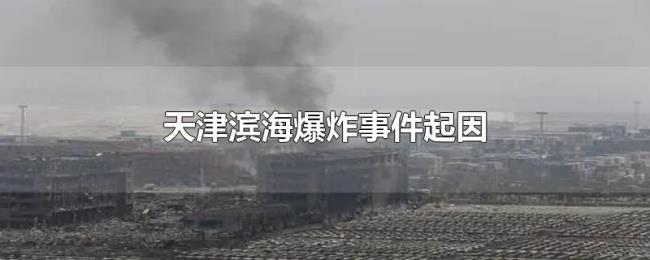 天津滨海爆炸事件起因