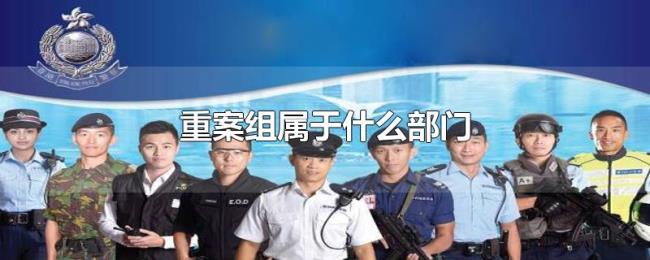 重案组属于什么部门