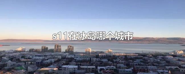 s11在冰岛哪个城市 s11在冰岛哪个城市