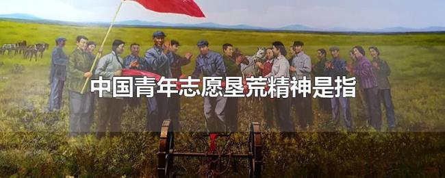 中国青年志愿垦荒精神是指