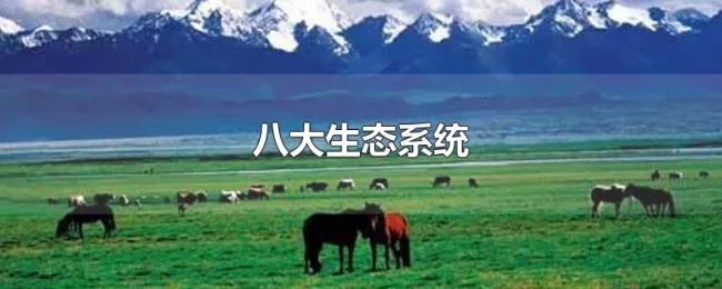 八大生态系统