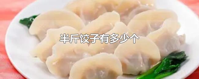 半斤饺子有多少个