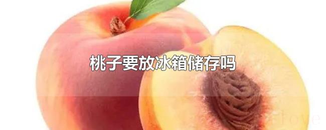 桃子要放冰箱储存吗 桃子要放冰箱储存吗