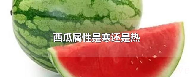 西瓜属性是寒还是热