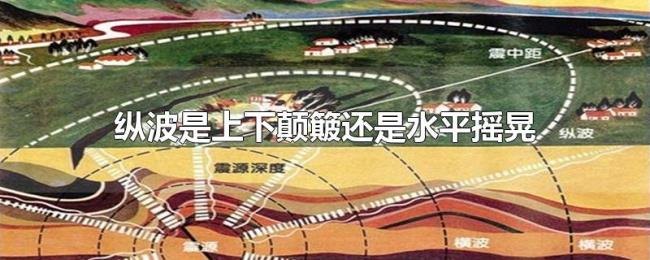 纵波是上下颠簸还是水平摇晃 纵波是上下颠簸还是水平摇晃