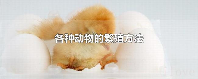 各种动物的繁殖方法 各种动物的繁殖方法