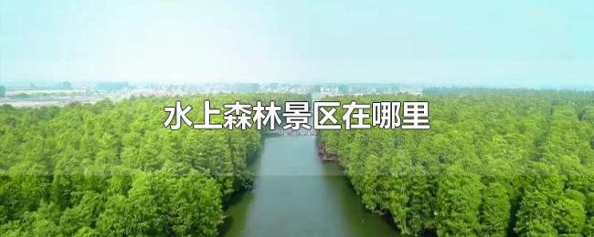 水上森林景区在哪里
