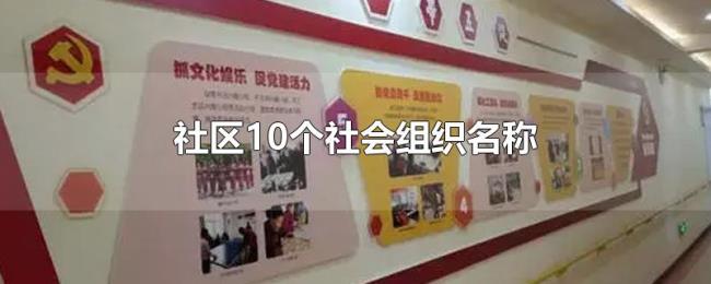 社区10个社会组织名称