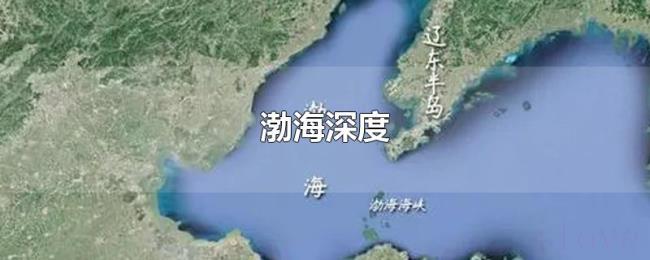 渤海深度