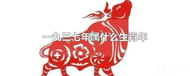 一九三七年属什么生肖年 一九三七年属什么生肖年
