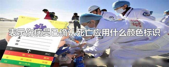 表示伤病员已确认死亡应用什么颜色标识