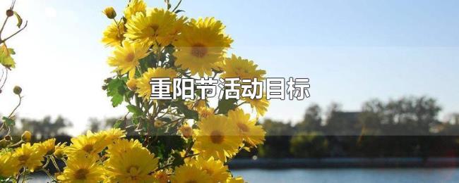 重阳节活动目标