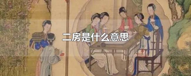 二房是什么意思 二房是什么意思