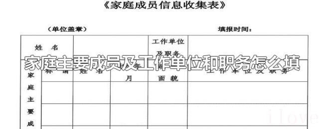 家庭主要成员及工作单位和职务怎么填