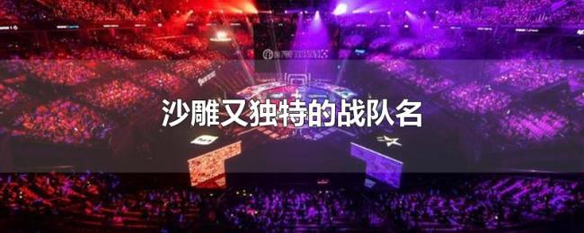 沙雕又独特的战队名